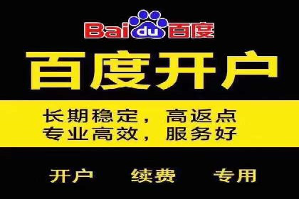 百度SEM推广在移动端的应用及效果展示